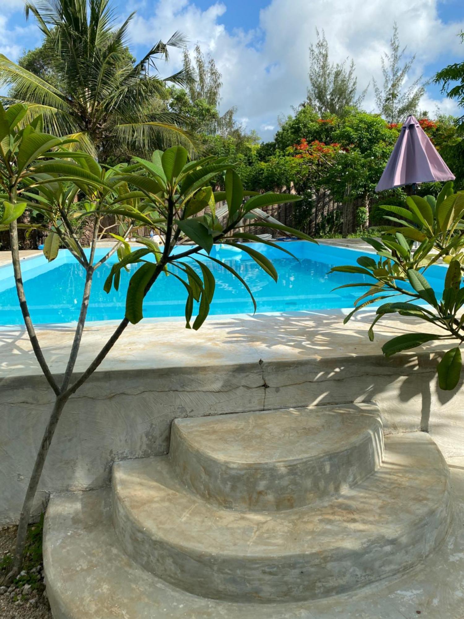 Embe Lodge Kizimkazi Extérieur photo