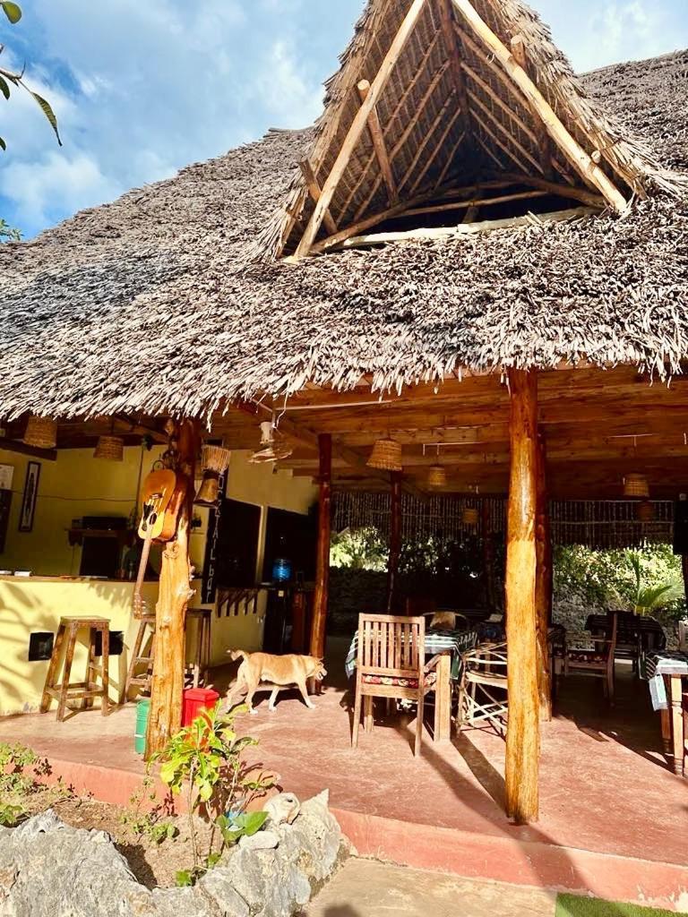Embe Lodge Kizimkazi Extérieur photo